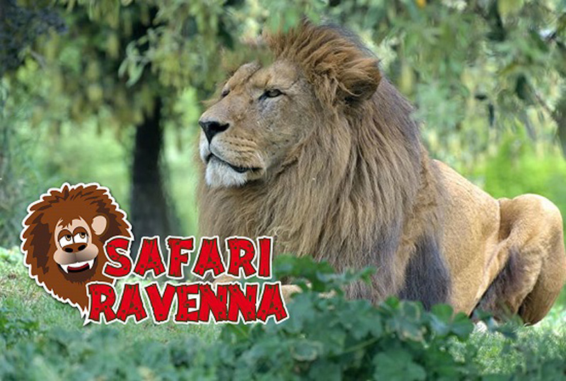 Parco zoo safari Ravenna
